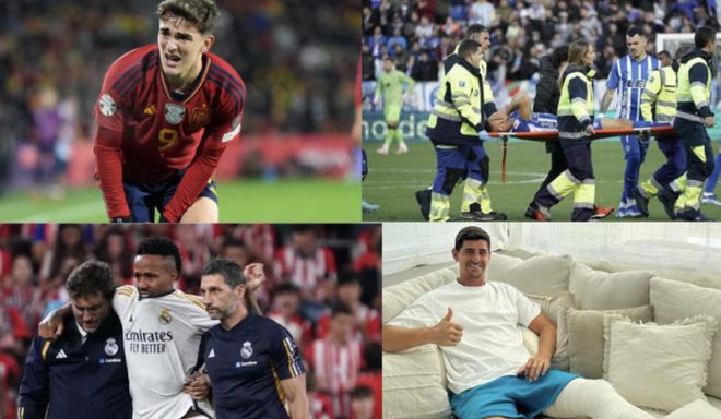 他们更多是 他们更多是